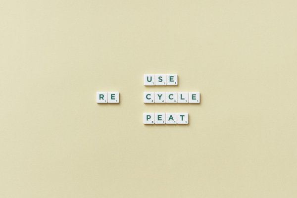 Marque-pages originaux : trouvez votre style de lecture idéal !