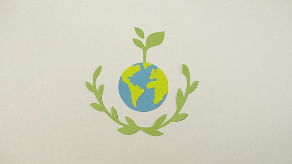 Cerfa 6652 : Étapes clés pour déclarer votre bien immobilier